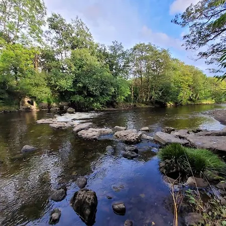 Riverside Bungalow - Direct River Access! Ystradgynlais Exterior foto